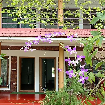 Susy Beachfront Homestay Mararikulam Exterior photo