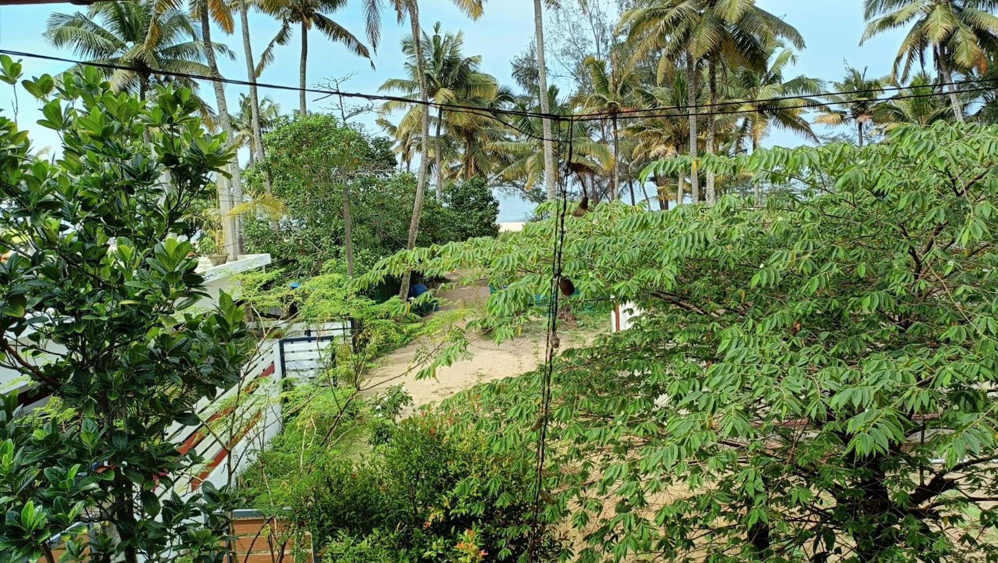 Susy Beachfront