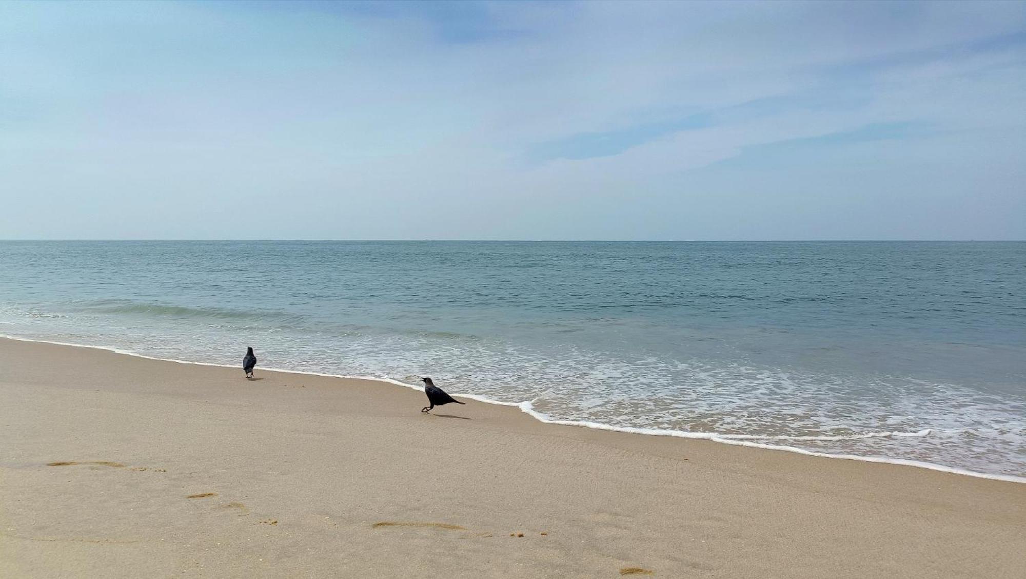 Susy Beachfront * Mararikulam