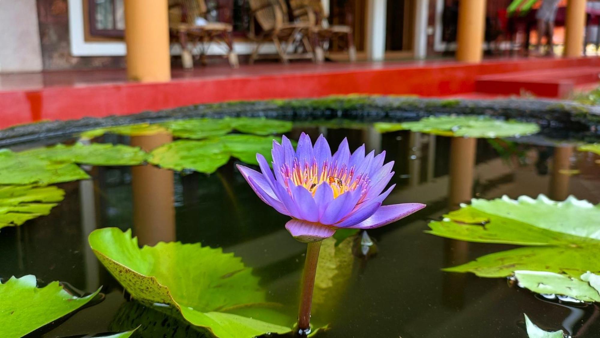 Homestay Susy Beachfront Mararikulam