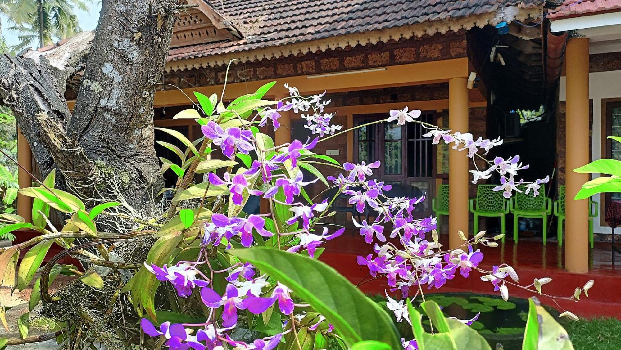 Homestay Susy Beachfront *